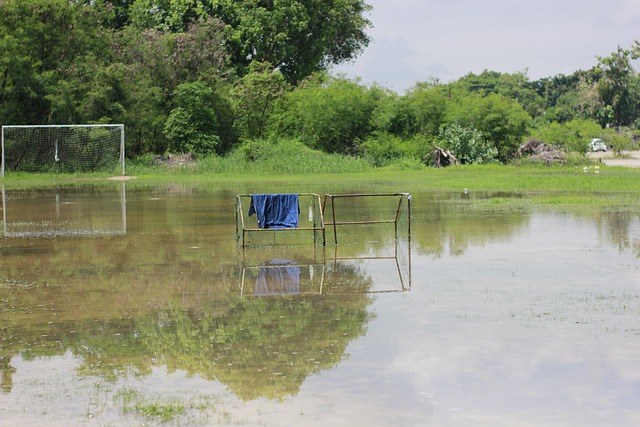 世体：罗克未能赢得解放者杯，巴萨错失协议中100万欧的奖金
